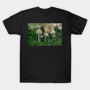 A new colony arises T-Shirt